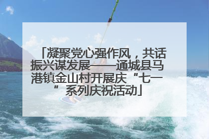 凝聚党心强作风，共话振兴谋发展——通城县马港镇金山村开展庆“七一”系列庆祝活动