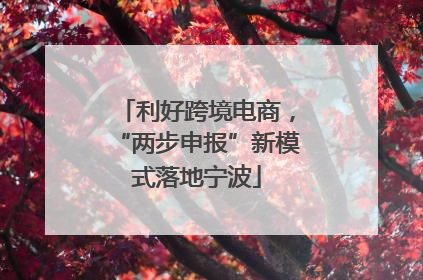利好跨境电商，“两步申报”新模式落地宁波