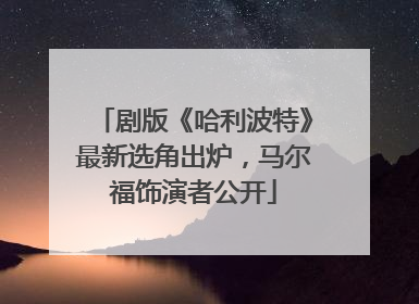 剧版《哈利波特》最新选角出炉，马尔福饰演者公开