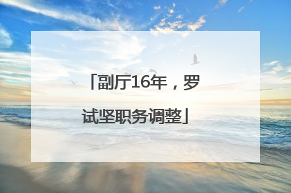 副厅16年，罗试坚职务调整