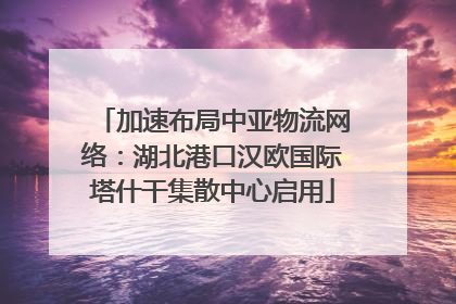 加速布局中亚物流网络：湖北港口汉欧国际塔什干集散中心启用