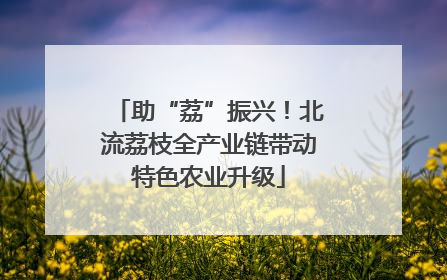 助“荔”振兴！北流荔枝全产业链带动特色农业升级