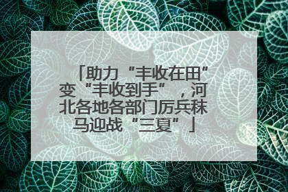 助力“丰收在田”变“丰收到手”，河北各地各部门厉兵秣马迎战“三夏”