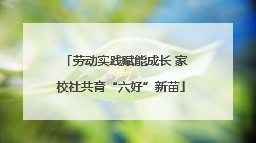 劳动实践赋能成长 家校社共育“六好”新苗