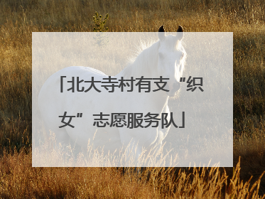 北大寺村有支“织女”志愿服务队