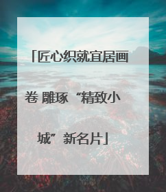 匠心织就宜居画卷 雕琢“精致小城”新名片