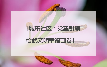 城东社区：党建引领绘就文明幸福画卷