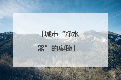 城市“净水器”的奥秘