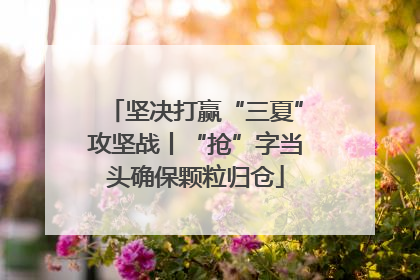 坚决打赢“三夏”攻坚战丨“抢”字当头确保颗粒归仓
