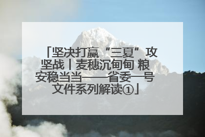 坚决打赢“三夏”攻坚战丨麦穗沉甸甸 粮安稳当当——省委一号文件系列解读①