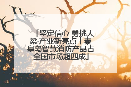 坚定信心 勇挑大梁·产业新亮点丨秦皇岛智慧消防产品占全国市场超四成