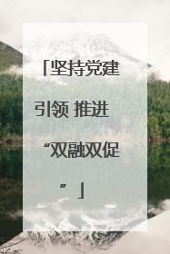 坚持党建引领 推进“双融双促”