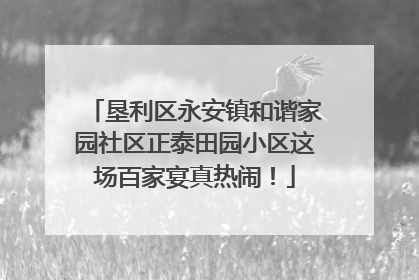 垦利区永安镇和谐家园社区正泰田园小区这场百家宴真热闹！