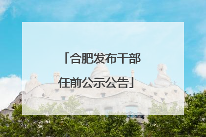 合肥发布干部任前公示公告