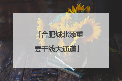 合肥城北添重要干线大通道