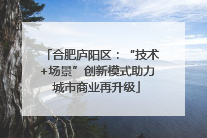 合肥庐阳区：“技术+场景”创新模式助力城市商业再升级