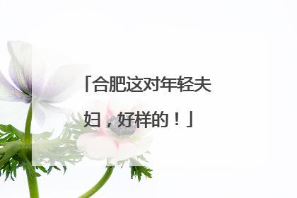 合肥这对年轻夫妇，好样的！