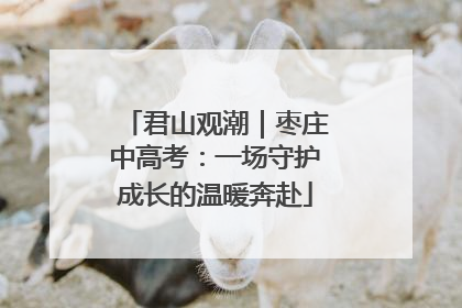 君山观潮｜枣庄中高考：一场守护成长的温暖奔赴