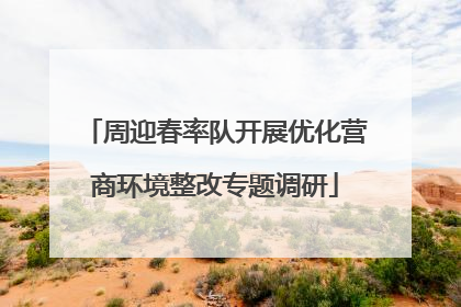 周迎春率队开展优化营商环境整改专题调研