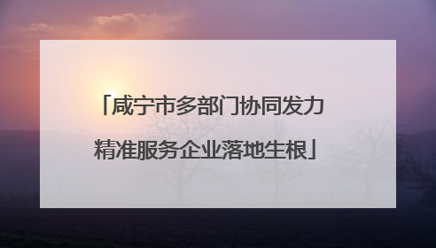 咸宁市多部门协同发力 精准服务企业落地生根