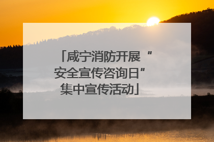 咸宁消防开展“安全宣传咨询日”集中宣传活动