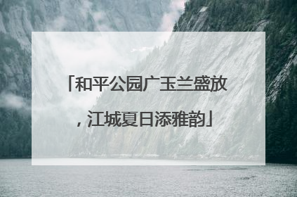 和平公园广玉兰盛放，江城夏日添雅韵