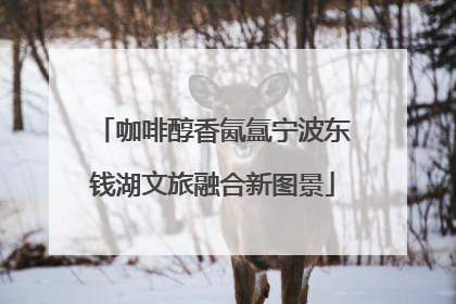 咖啡醇香氤氲宁波东钱湖文旅融合新图景