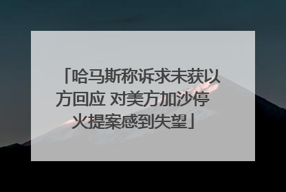 哈马斯称诉求未获以方回应 对美方加沙停火提案感到失望