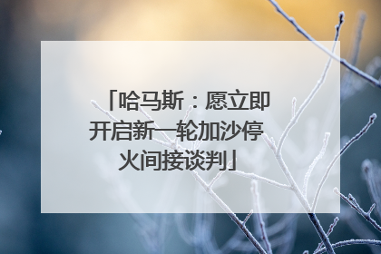 哈马斯：愿立即开启新一轮加沙停火间接谈判