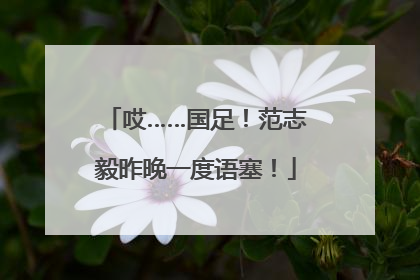 哎……国足！范志毅昨晚一度语塞！