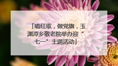 唱红歌，做党旗，玉渊潭乡敬老院举办迎“七一”主题活动