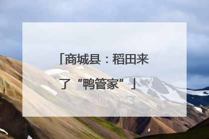 商城县：稻田来了“鸭管家”