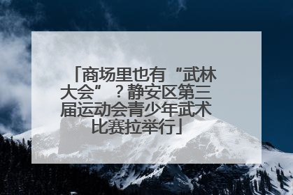 商场里也有“武林大会”？静安区第三届运动会青少年武术比赛拉举行