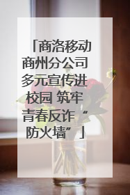 商洛移动商州分公司多元宣传进校园 筑牢青春反诈“防火墙”