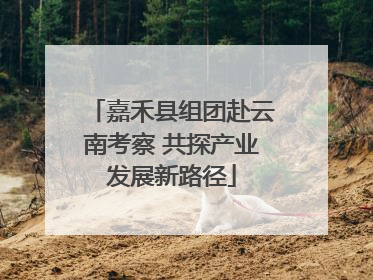 嘉禾县组团赴云南考察 共探产业发展新路径