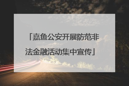嘉鱼公安开展防范非法金融活动集中宣传