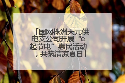 国网株洲天元供电支公司开展“e起节电”惠民活动，共筑清凉夏日