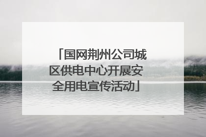 国网荆州公司城区供电中心开展安全用电宣传活动