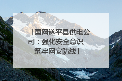 国网遂平县供电公司：强化安全意识 筑牢网安防线