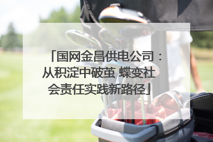 国网金昌供电公司：从积淀中破茧 蝶变社会责任实践新路径