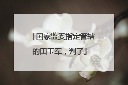国家监委指定管辖的田玉军，判了