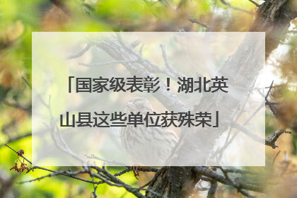 国家级表彰！湖北英山县这些单位获殊荣