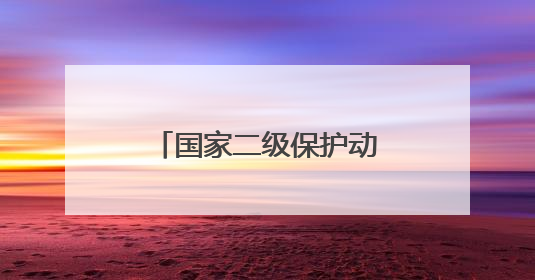 国家二级保护动物白鹭惊现石城镇水堡子村河道