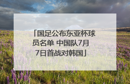 国足公布东亚杯球员名单 中国队7月7日首战对韩国
