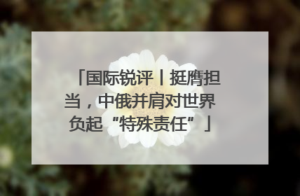 国际锐评丨挺膺担当，中俄并肩对世界负起“特殊责任”