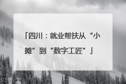 四川：就业帮扶从“小摊”到“数字工匠”