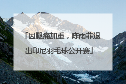 因腿痛加重，陈雨菲退出印尼羽毛球公开赛
