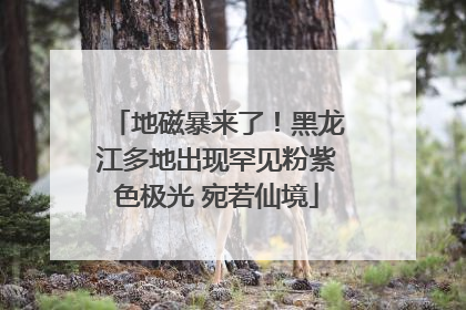 地磁暴来了！黑龙江多地出现罕见粉紫色极光 宛若仙境