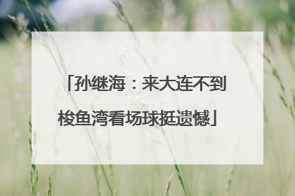 孙继海：来大连不到梭鱼湾看场球挺遗憾