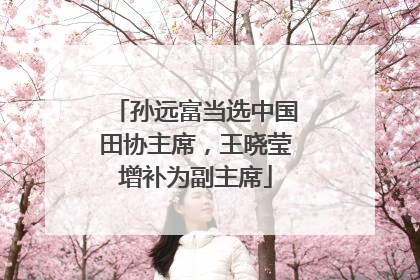 孙远富当选中国田协主席，王晓莹增补为副主席